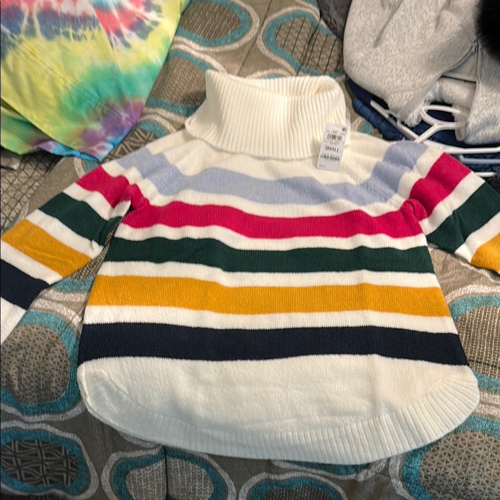 Striped Multicolor Cowl/Turtleneck Sweater
